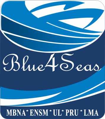 BLUE4SEAS